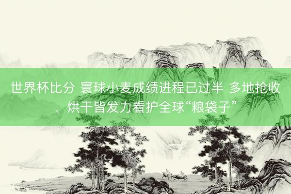 世界杯比分 寰球小麦成绩进程已过半 多地抢收、烘干皆发力看护全球“粮袋子”